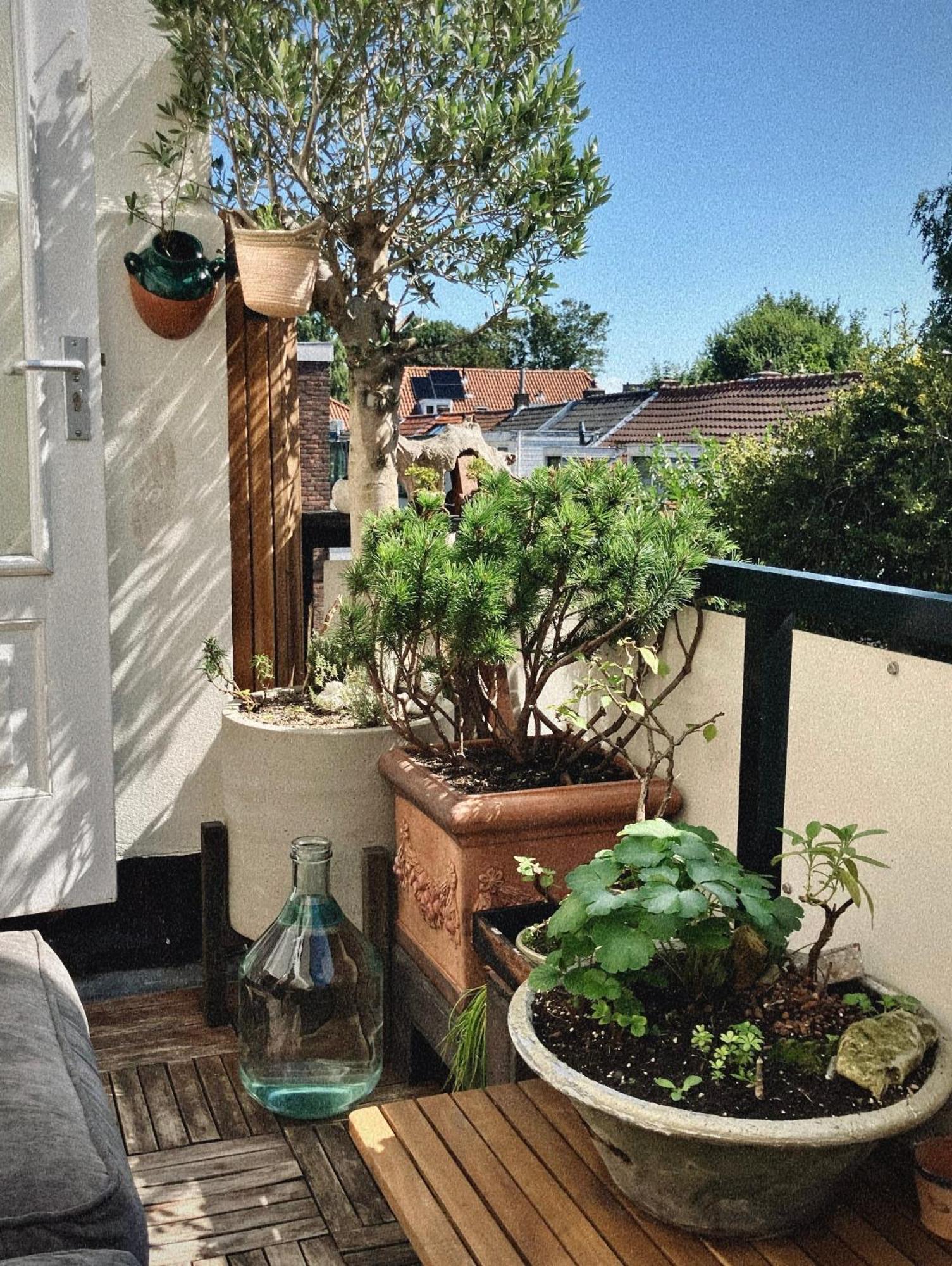 Lovely, 1898 Jugendstil Design Apartment, Old Haarlem City Centre, Fully Renovated With Parkview Near Amsterdam And Zandvoort, Bloemendaal Beach Bagian luar foto